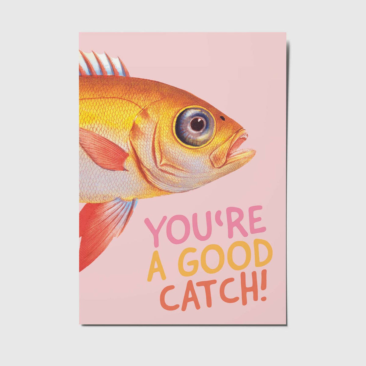 Good catch - A6 postkort